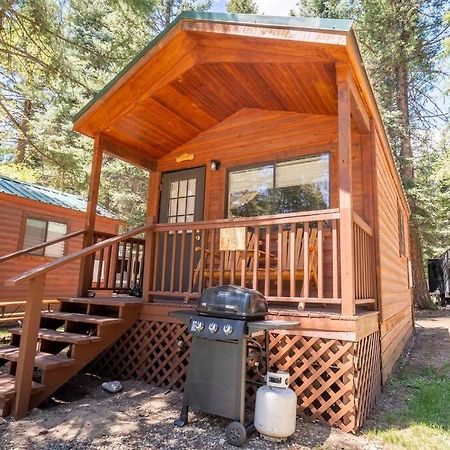 The Lupine Cabin #10 At Blue Spruce Rv Park & Cabins Vallecito Ngoại thất bức ảnh