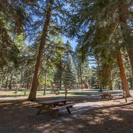 The Lupine Cabin #10 At Blue Spruce Rv Park & Cabins Vallecito Ngoại thất bức ảnh