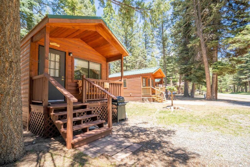 The Lupine Cabin #10 At Blue Spruce Rv Park & Cabins Vallecito Ngoại thất bức ảnh