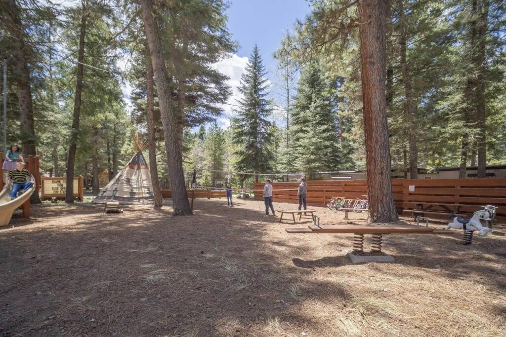 The Lupine Cabin #10 At Blue Spruce Rv Park & Cabins Vallecito Ngoại thất bức ảnh