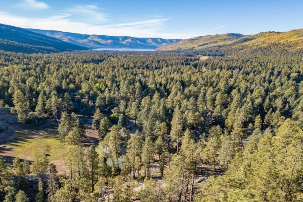The Lupine Cabin #10 At Blue Spruce Rv Park & Cabins Vallecito Ngoại thất bức ảnh