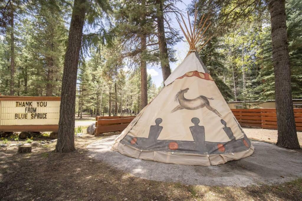 The Lupine Cabin #10 At Blue Spruce Rv Park & Cabins Vallecito Ngoại thất bức ảnh