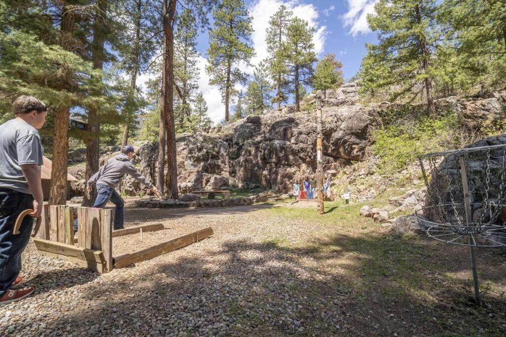The Lupine Cabin #10 At Blue Spruce Rv Park & Cabins Vallecito Ngoại thất bức ảnh